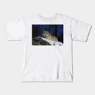 Arctic Wolf in winter Kids T-Shirt